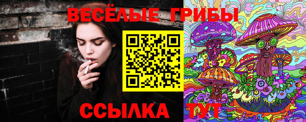 Ленинск-Кузнецкий  Галлюциногенные грибы ЛСД  Вход с VPN 